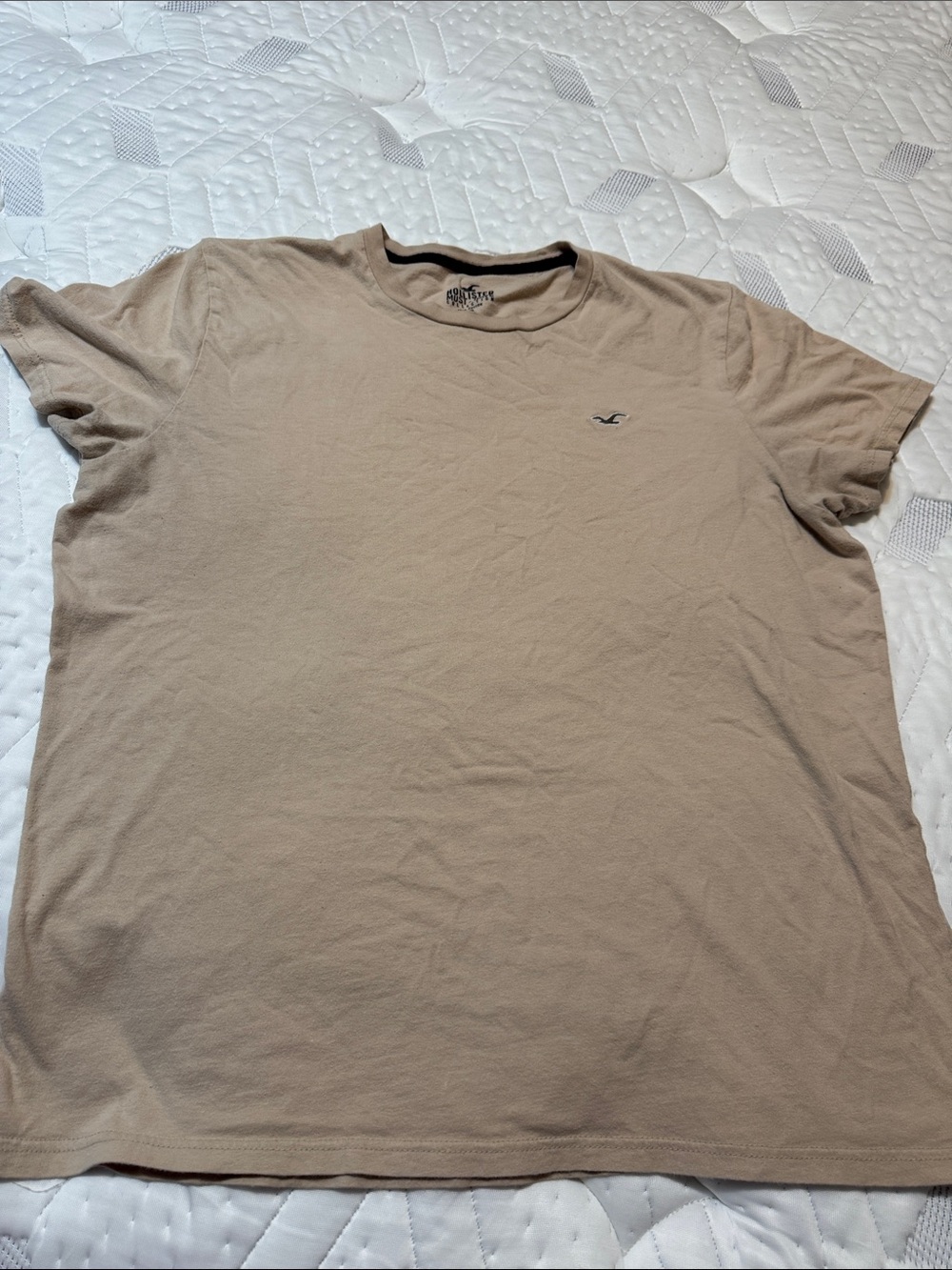 Hollister men’s short sleeve t-shirt size xl 100% cotton GUC